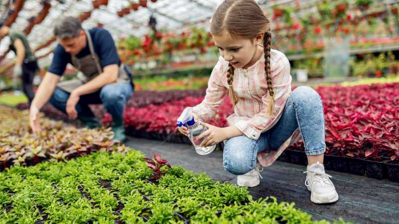 How Building a Small Greenhouse Can Teach Kids About Science, Patience and Responsibility